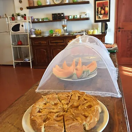 Serendipity House Bed & Breakfast 3*