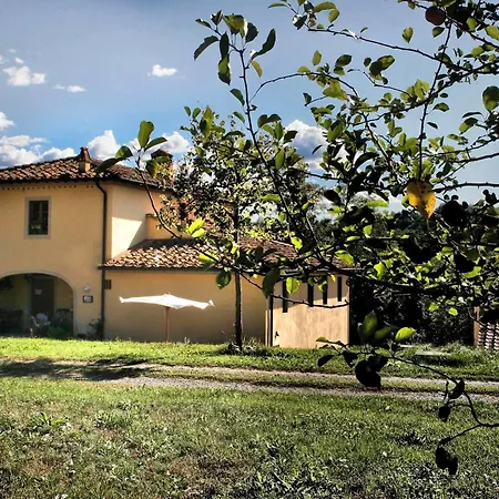 Serendipity House Bed & Breakfast