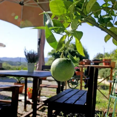 Serendipity House Bed & Breakfast 3*