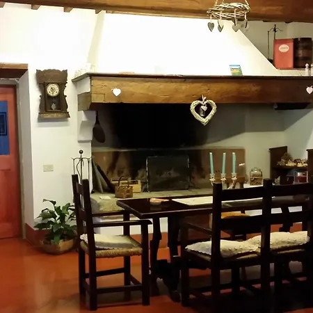 住宿加早餐酒店 Serendipity House