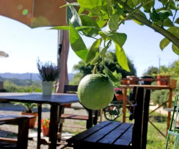 Serendipity House Bed and Breakfast 3*